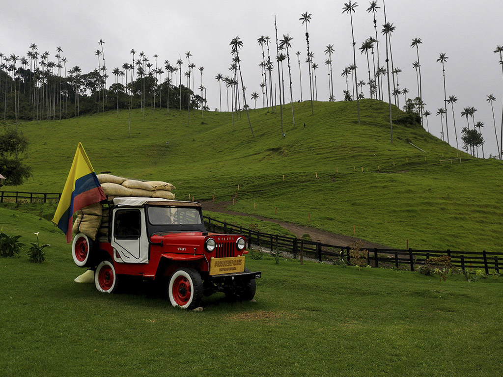 Paquete a bogota y medellin