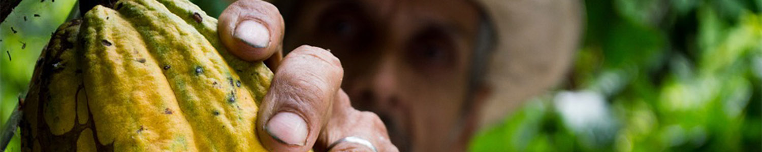 Paquete a bogota y medellin lanzate