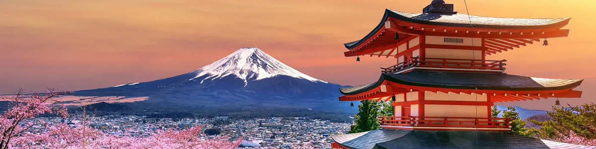 Paquete combinado corea y japon lanzate