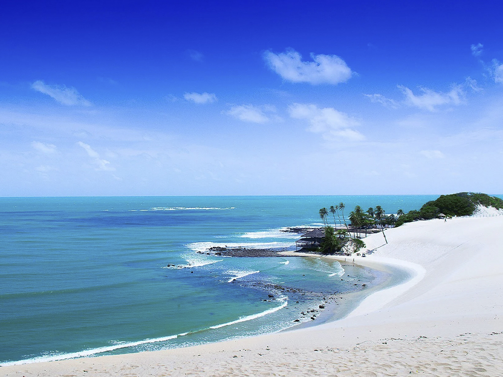 Paquete pipa y natal