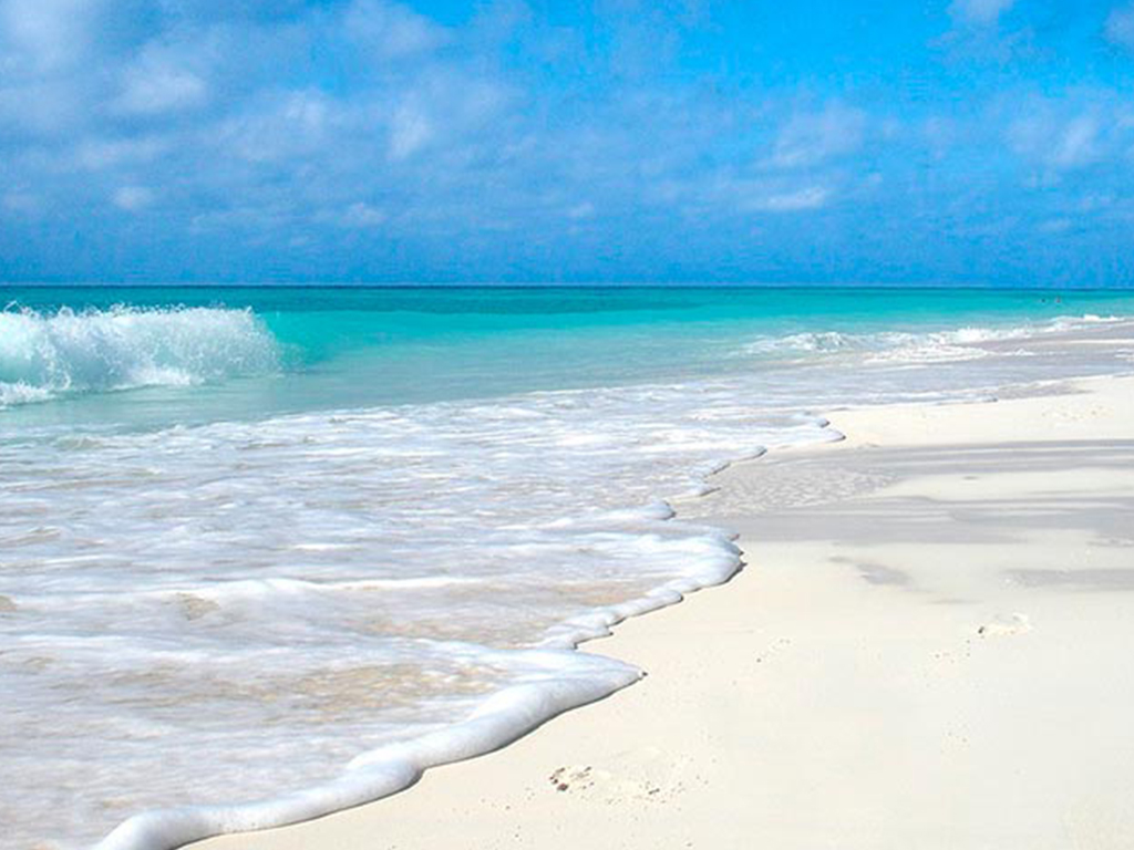 Paquetes a bayahibe todo incluido
