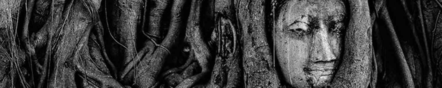 Paquetes a tailandia clasica lanzate