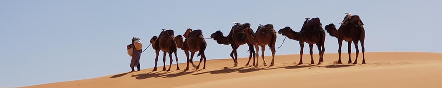 Salida grupal a marruecos lanzate