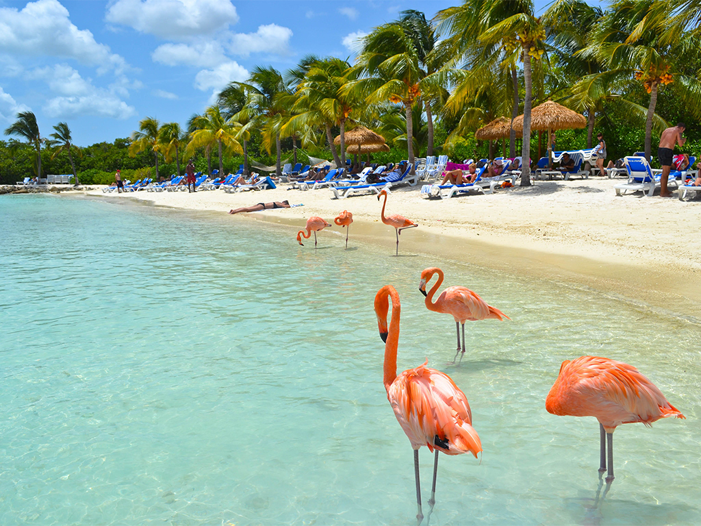 Viaje a aruba con desayunos