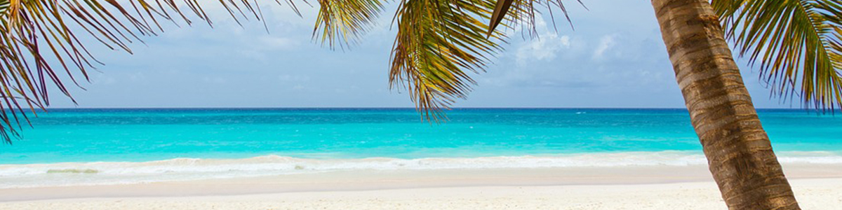 Viaje a jamaica y panama lanzate