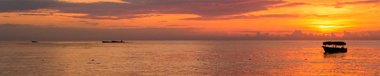 Viajes a florianopolis desde argentina lanzate