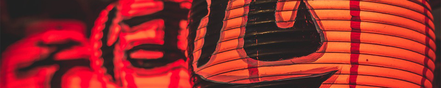 Viajes a japon desde argentina tokio