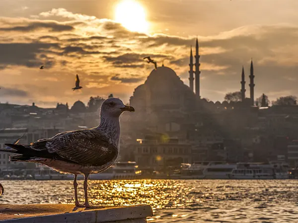 salida grupal a turquia